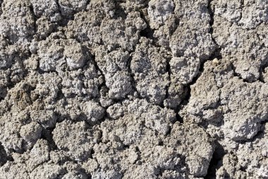 arka plan, doku - cansız tuzlu kuru çöl toprak kırık