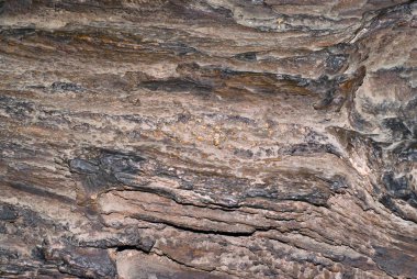 arka plan, doku - taşlaşmış ağaç Pütürlü yüzeyi