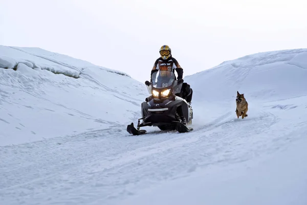 Perm Rússia Fevereiro 2018 Homem Está Montando Uma Moto Neve — Fotografia de Stock