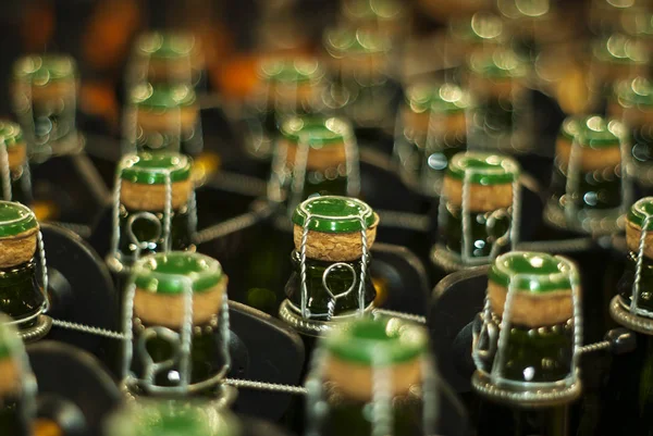 corked şişe köpüklü şarap, bira ya da elma şarabı closeup ile arka plan bulanık