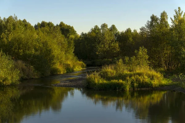 Small Plain River Flowing Bush Thickets Evening Illumination — Stock Photo, Image