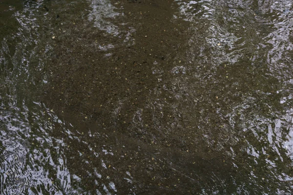 Background Texture Sandy Bottom Shallow Brook Sunlight Reflecting Wave — Stock Photo, Image