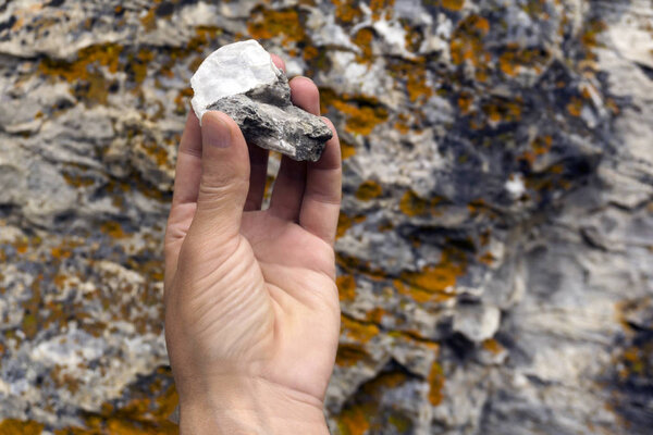 human hand holds a mineralogical sample of limestone with mica on the background of a rocky surface