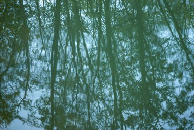 mavi arka plan bulanık - sonbahar ağaçların Göl su yansıma