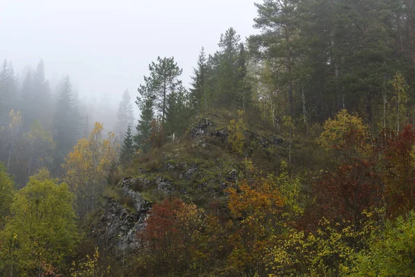 Nebliger Herbst Bergwald Mit Bäumen Die Auf Den Felsen Wachsen — Stockfoto