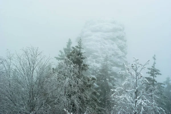 Beautiful Snow Covered Rock Winter Forest Snowfall Frosty Haze — Stock Photo, Image