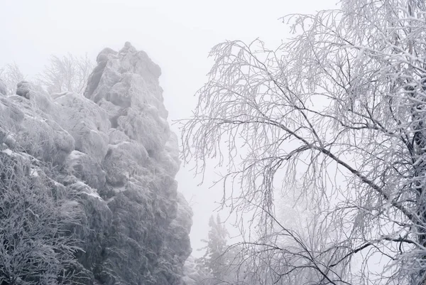 Красивые Заснеженные Скалы Над Зимним Лесом Время Снегопада — стоковое фото