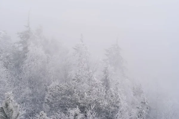 Fondo Blanco Paisaje Picos Nevados Árboles Apenas Visibles Neblina Helada — Foto de Stock