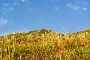 Kafkasya sonbahar güneşli alp peyzaj