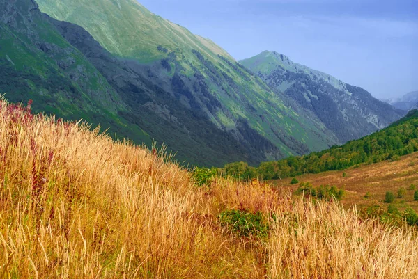 Hermoso Valle Montaña Soleado Con Hierba Otoño Primer Plano — Foto de Stock