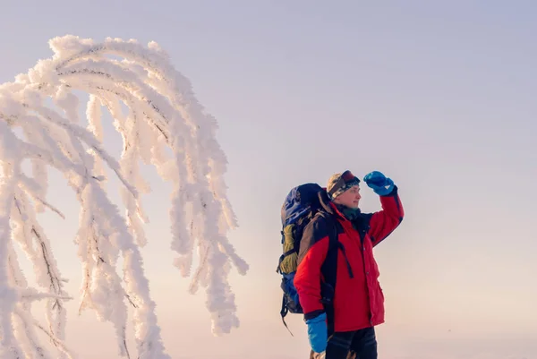 Cestovní Batoh Hůlky Nordic Walking Stojící Mrazivé Zimní Krajině Nedaleko — Stock fotografie