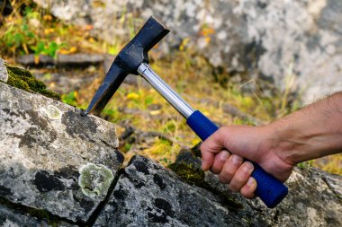 jeolog'ın el bir kireçtaşı yosunlu rock bir örneği almak için jeolojik Çekiçle vurur
