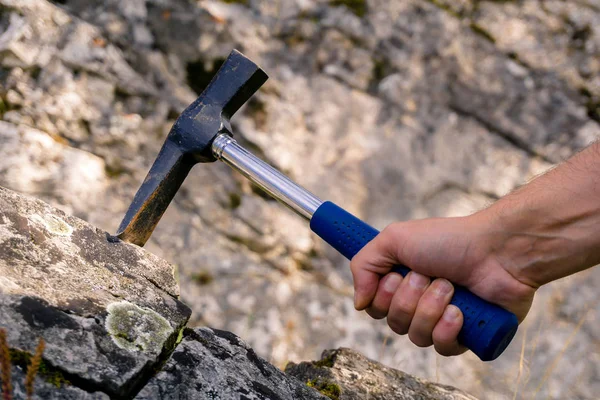 Geologist Hand Strikes Limestone Mossy Rock Geological Hammer Take Sampl — Stock Photo, Image