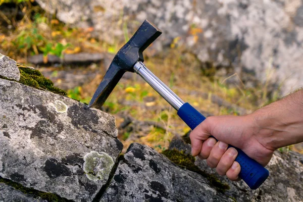 Mão Geólogo Golpeia Uma Pedra Musgosa Calcário Com Martelo Geológico — Fotografia de Stock