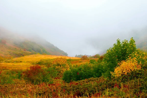 Autumn Mountain Pass Low Clouds Bright Colors Autumn Vegetation — Stock Photo, Image