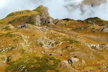 kayalık dağ yayla kuru ot ve arka planda bulutlar ile