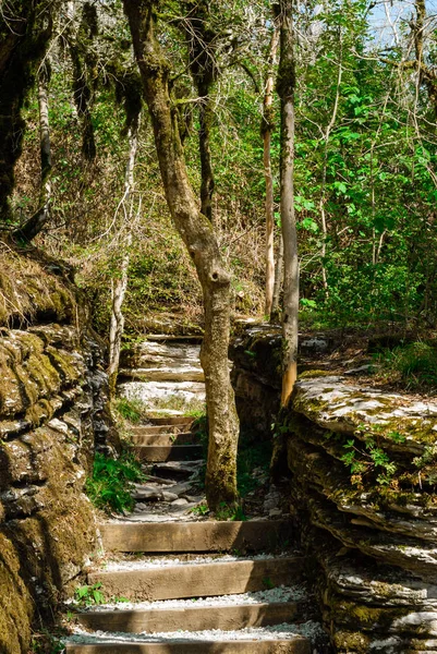 staircase on an ecological path through a natural passage in the rocks that looks like ancient ruins