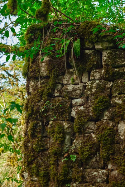 Θραύσμα Της Τοιχοποιίας Από Αρχαία Ερείπια Μεταξύ Δασικής Βλάστησης — Φωτογραφία Αρχείου