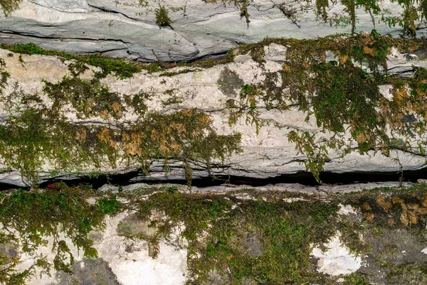 Background Texture Mossy Layered Natural Stone Limestone Canyon Wall — Stock Photo, Image