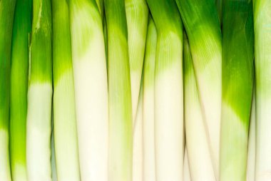 arka plan - beyaz ve yeşil pırasa takip ediyor.