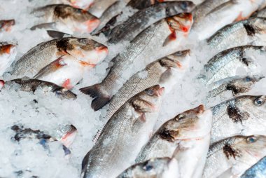 taze balık dükkanı sayaçta karda