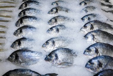 dorade balık dükkanı sayaçta karda