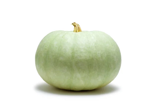 Pale Green Ripe Pumpkin White Background Side View — Stock Photo, Image