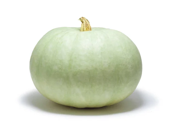 Pale Green Ripe Pumpkin White Background Side View — Stock Photo, Image