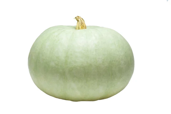 Calabaza Madura Verde Pálido Aislado Sobre Fondo Blanco Lado Vie — Foto de Stock