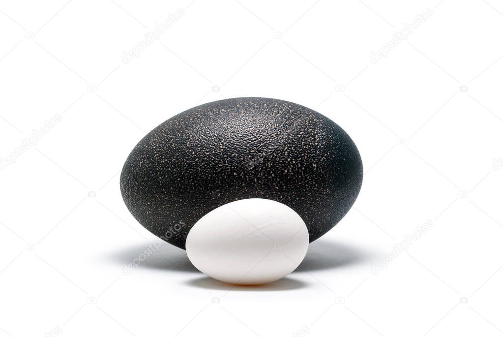 egg of hen and egg of emu lie next on white background