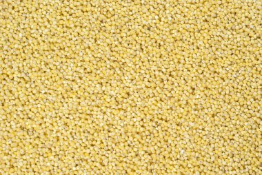 arka plan, doku - darı tahıl