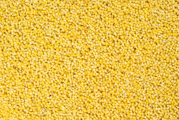 Background Texture Pearl Millet Grain — Stock Photo, Image