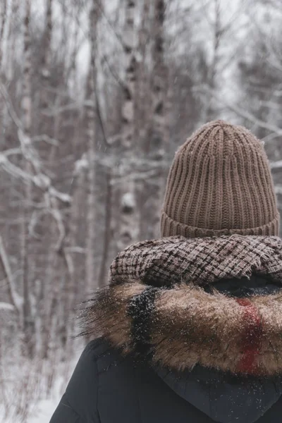 Dívka Teplé Zimní Oblečení Zády Divákovi Zasněženém Parku — Stock fotografie