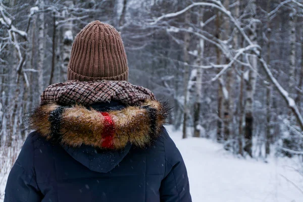 Sıcak Kış Elbiseleri Karlı Eşit Görüntüleyicide Arkası Kız — Stok fotoğraf
