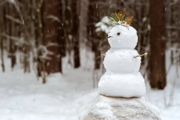 在模糊的公园景观背景下 雪下站着一个小雪人 他拿着松针 — 图库照片