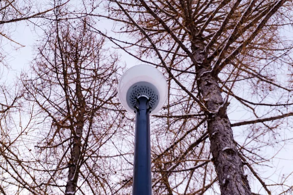 ᐈ The Lion The Witch And The Wardrobe Stock Images Royalty Free