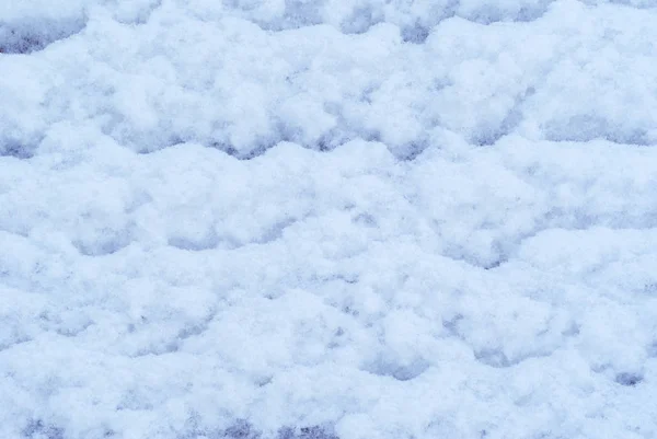 Фон, текстура - поверхность снега — стоковое фото