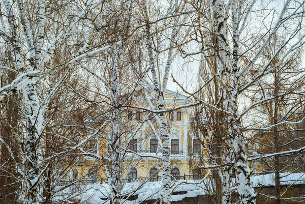 Mansion in a winter birch grove above the overpass — Stock Photo, Image