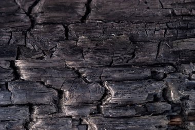 arka plan - kömürleşmiş odun