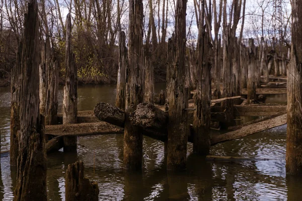 Paisagem com pilhas da velha ponte destruída — Fotografia de Stock