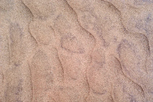 Tło-wydmy — Zdjęcie stockowe