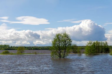 yüksek su sırasında bahar nehri
