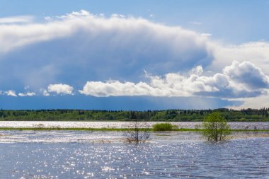 yüksek su sırasında bahar nehri