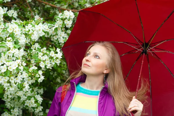 Lány alatt egy esernyő a háttérben egy virágzó Alma Tre — Stock Fotó