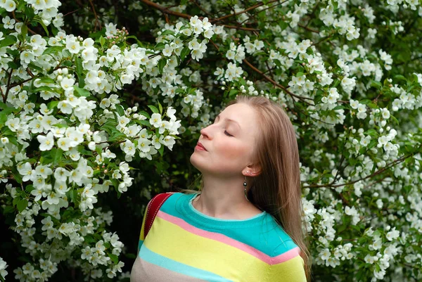 女人嗅着苹果树的花朵 — 图库照片