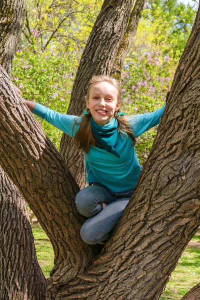 Смеющаяся девочка-подросток залезла на дерево в парке — стоковое фото