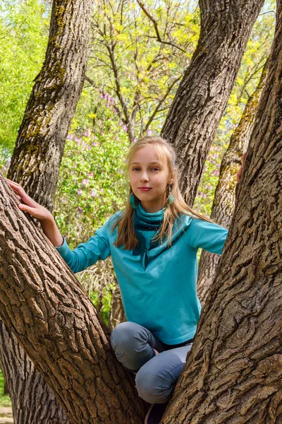Улыбающаяся девочка-подросток залезла на дерево в парке — стоковое фото