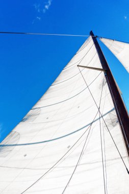 gökyüzüne karşı beyaz yelkenler