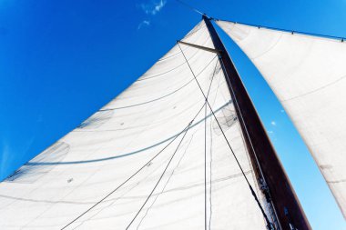 gökyüzüne karşı beyaz yelkenler