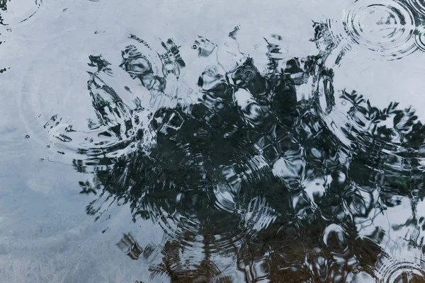 Círculos de gotas de lluvia en la superficie del estanque — Foto de Stock